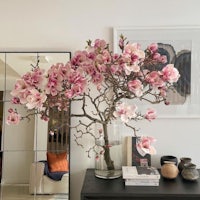 a pink magnolia tree in a glass vase on a table