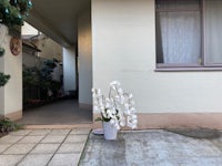 a white flower pot on a sidewalk in front of a house